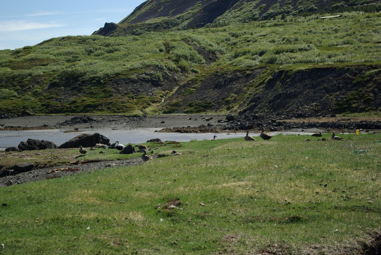 Reykholar Hostel 외부 사진